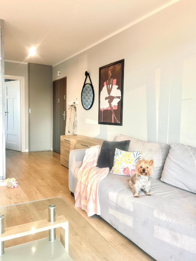 ז'שוב Downtownapartments Carrie מראה חיצוני תמונה